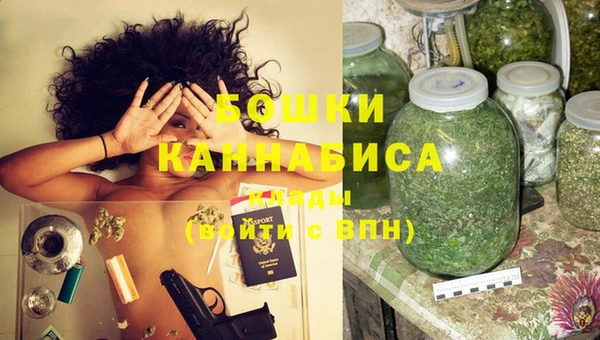 сатива Краснослободск