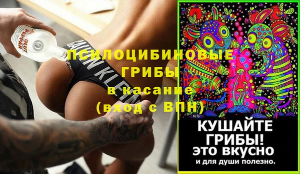 ПСИЛОЦИБИНОВЫЕ ГРИБЫ Дрезна