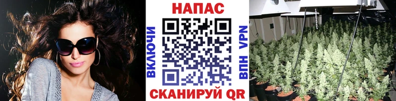 Шишки марихуана ГИДРОПОН  наркошоп  Лебедянь 